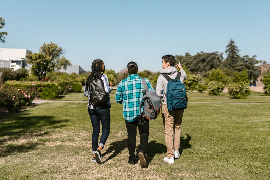 Topup 学位回国能不能落户?